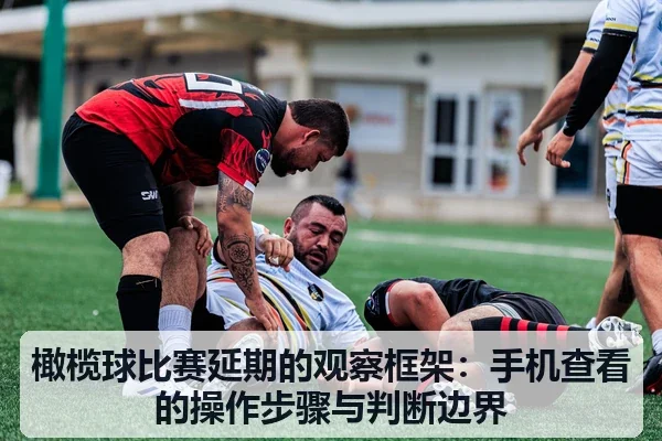 橄榄球比赛延期的观察框架:手机查看的操作步骤与判断边界